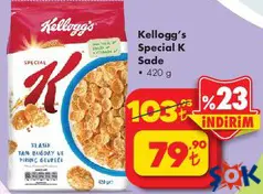 KELLOGG'S SPECİAL K SADE 400 G